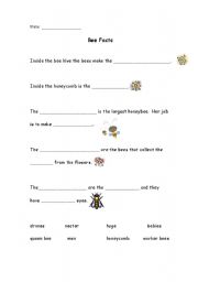 English Worksheet: Bee Facts