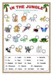 English Worksheet: In the Jungle