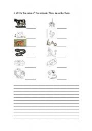 English worksheet: ANIMALS