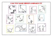 English worksheet: Animals - can you find and name them??