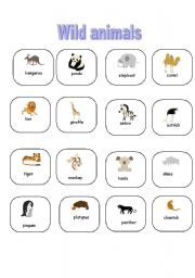 English worksheet: Wild animals