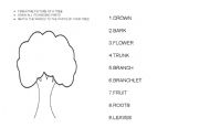 English Worksheet: Parts of a tree - drawing and writing activity