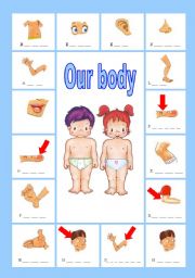 Our body
