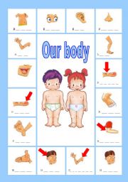 English Worksheet: Our body