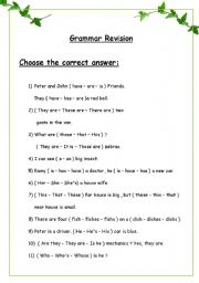 English Worksheet: Grammar Revision