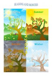 English Worksheet: Seasons and Months