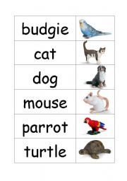 English worksheet: animals