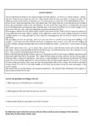 English Worksheet: Rain Forests