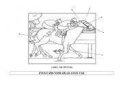 English worksheet: LABEL THE JOCKEY HORSE