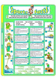 English Worksheet: Sports Facts (3)