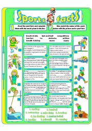 English Worksheet: Sports Facts (3)