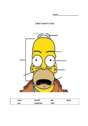 Label Homers Face