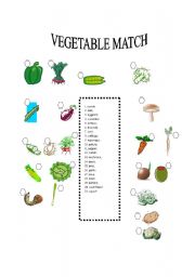 English worksheet: VEGETABLE MATCH