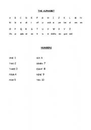English worksheet: Alphabet and Numbers
