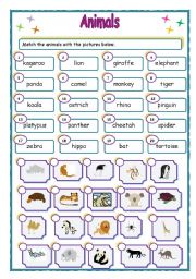 English Worksheet: Wild animals