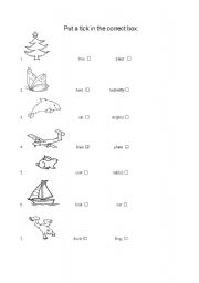 English worksheet: vocabulary everyday words