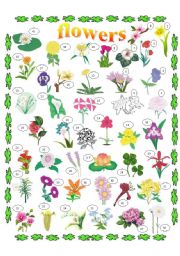 FLOWERS PICTIONARY, KEY INCLUDED, 2 PAGES