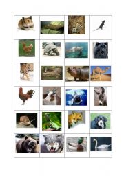 English Worksheet: memory game animals
