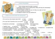 English Worksheet: Elephants. Tasks