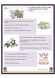 English Worksheet: Fun facts about animals