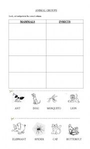 English worksheet: mammals and insects