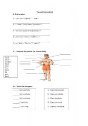 English Worksheet: Human body