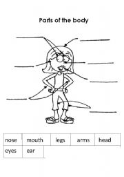 English Worksheet: parts of the body