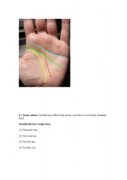 English Worksheet: palm reading