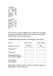 English worksheet: Worksheet on human body