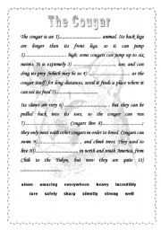 English worksheet: READING COMPREHENSION - The Cougar