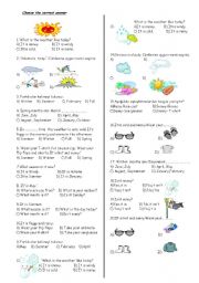 English Worksheet: test about seasons