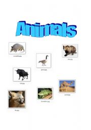 English worksheet: Animals