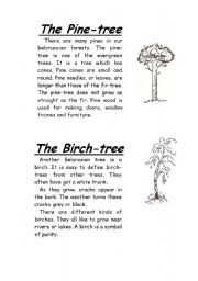 English worksheet: Trees