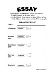 English Worksheet: Essay