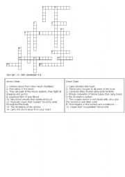 English Worksheet: aparatus and systems
