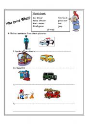 English Worksheet: write a present simple  sentences 