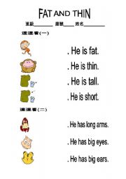 English worksheet: Fat and Thin