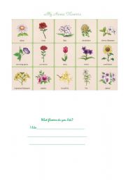 English worksheet: Home flowers