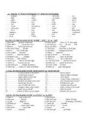 English Worksheet: countable -uncountable nouns