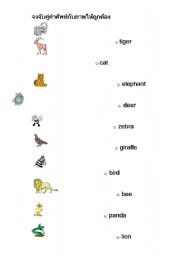 English Worksheet: animal