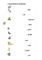 English worksheet: animal