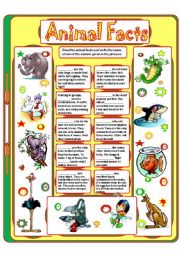 English Worksheet: Animal Facts