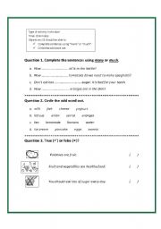 English Worksheet:  many or much