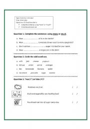 English worksheet:  many or much