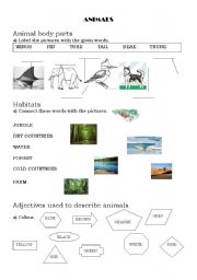 English worksheet: Animals 1