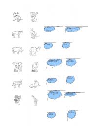 English Worksheet: ANIMALS