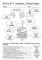 English Worksheet: INTERNAL ORGANS