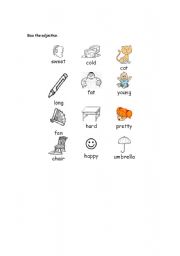 English worksheet: Adjectives