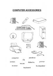 English Worksheet: Computer Accessories