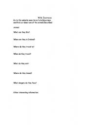 English worksheet: Wild Journeys